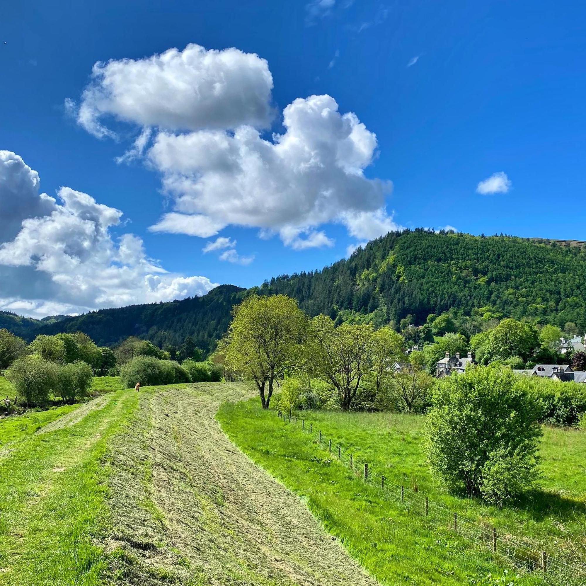 Crafnant House - Bed & Breakfast Trefriw 외부 사진
